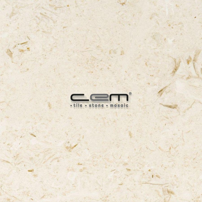 Fossil Jerusalem Limestone Tile